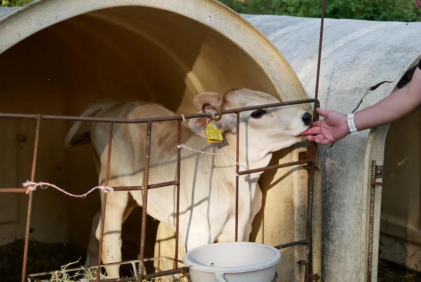 これは、、赤身好き、必見！必食！🥩