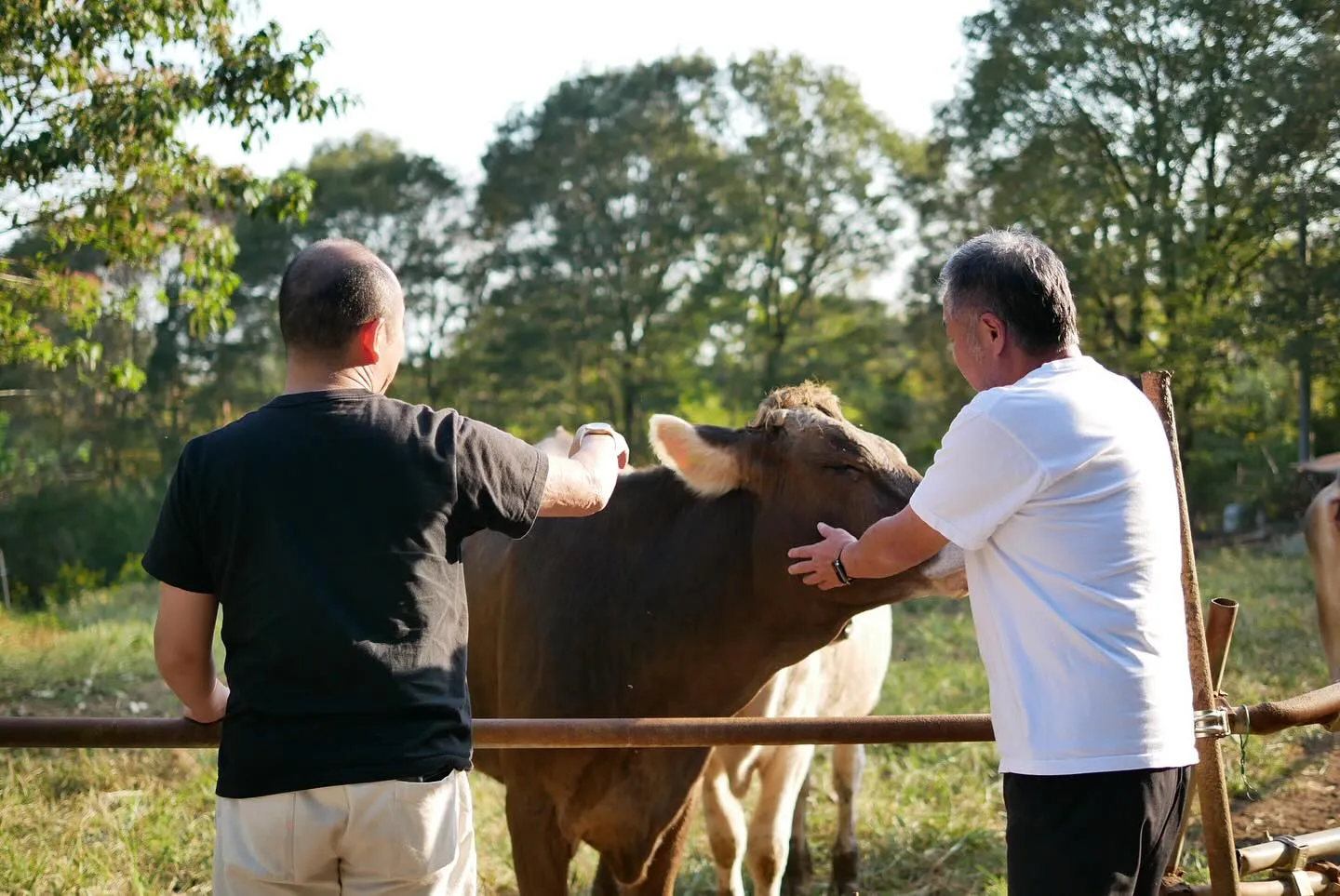これは、、赤身好き、必見！必食！🥩